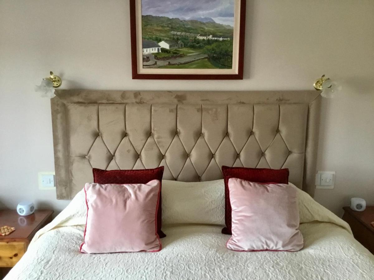 Buttermilk Lodge Guest Accommodation Clifden Exteriér fotografie